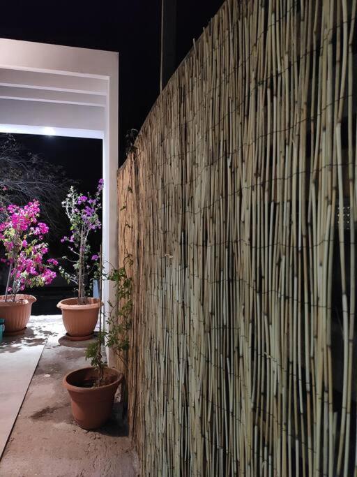 Río Verde Casa Mango 3 Amplio Departamentoヴィラ エクステリア 写真